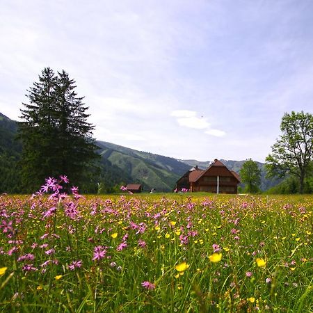 Schaffergut Appartements Donnersbachwald Εξωτερικό φωτογραφία