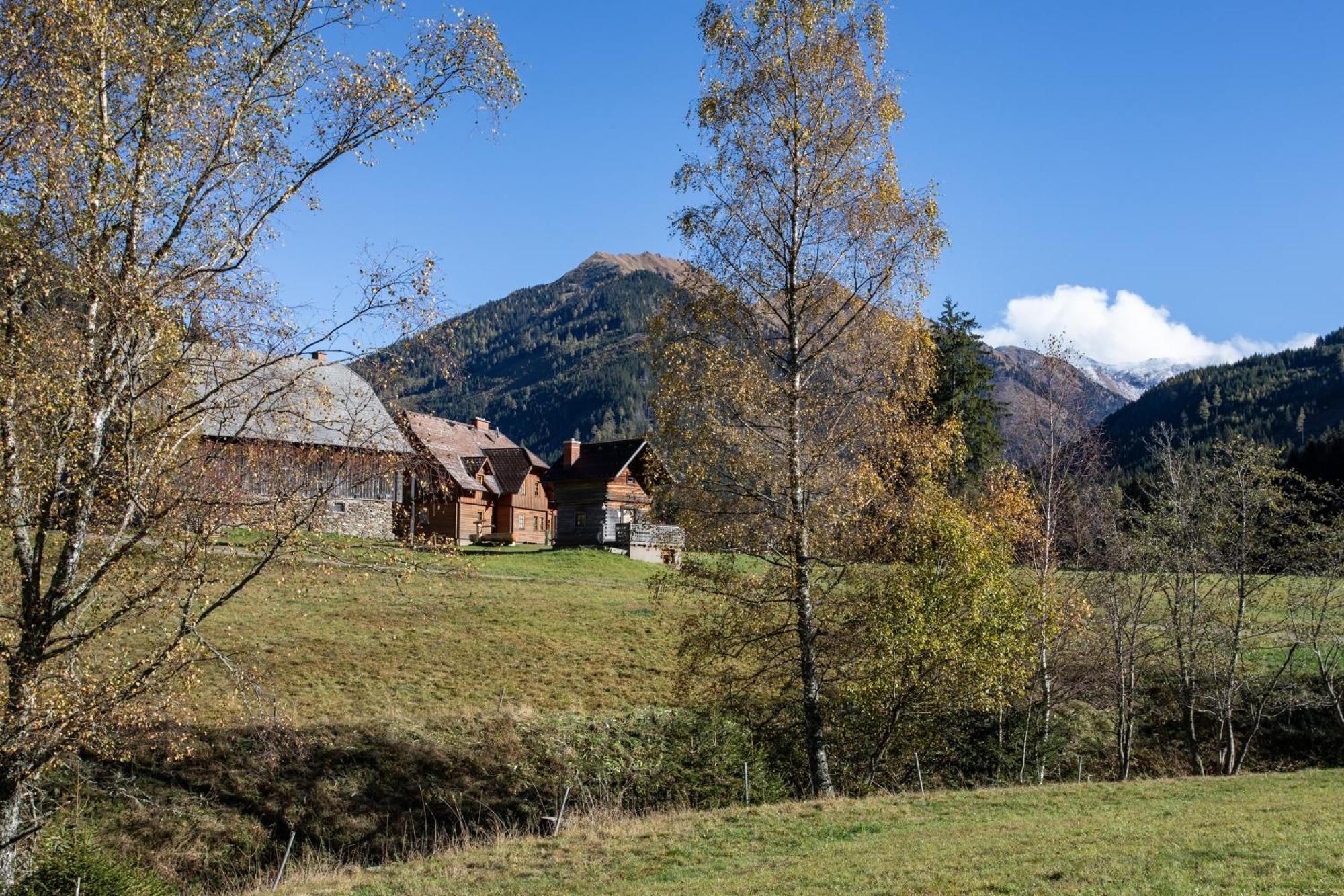 Schaffergut Appartements Donnersbachwald Εξωτερικό φωτογραφία