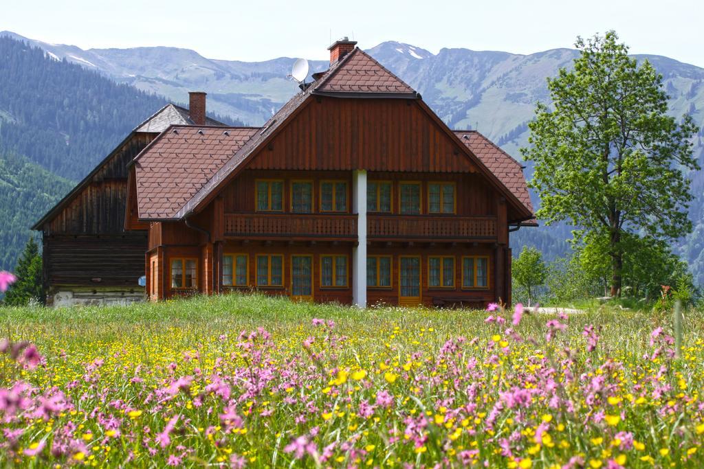 Schaffergut Appartements Donnersbachwald Εξωτερικό φωτογραφία